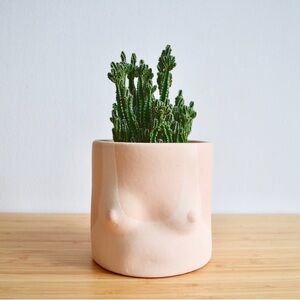 Boob planter